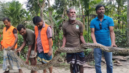 Photo shows some locals holding the 20-foot-long python recovered from Sonatala village in Sharankhola, Bagerhat, on Friday, 21 March 2025. Photo: TBS