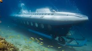 The submarine named "Sindbad" had 50 people onboard: 45 tourists of different nationalities from Russia, India, Norway, and Sweden, and five Egyptian crew members. Photo: Collected 