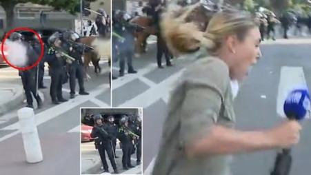 In the video, Tomasi can be seen crying out and clutching her calf. Photo: Collected