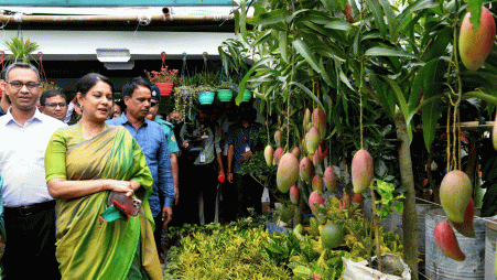 Environment, Forest and Climate Change Adviser Syeda Rizwana Hasan visiting National Tree Fair on 25 June 2025. Photo: Courtesy