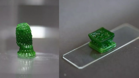 The innovative material was created by Swiss researchers using blue-green algae, known as cyanobacteria, which convert CO2, sunlight, and water into oxygen and sugars through photosynthesis. Photo: Collected