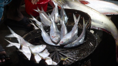 Photo: Collected