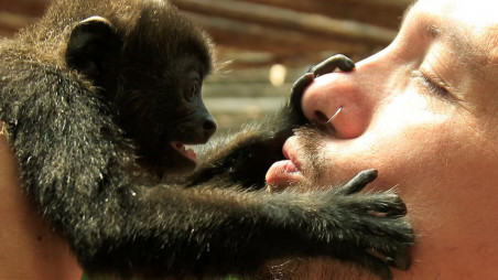 A tourist kisses a monkey at the Jaguar Animal Rescue Center in Puerto Viejo de Limon, August 25, 2010. Picture taken August 25, 2010. Photo: REUTERS/Juan Carlos Ulate/File Photo