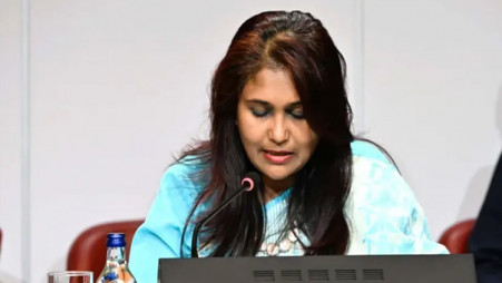 Geneva Ambassador Nahida Sobhan. Photo: UNB