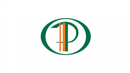 Peninsula logs losses in H1 despite profits in Q2