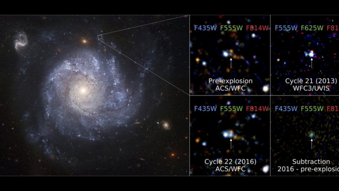 Meet the 'zombie star' that survived a supernova blast