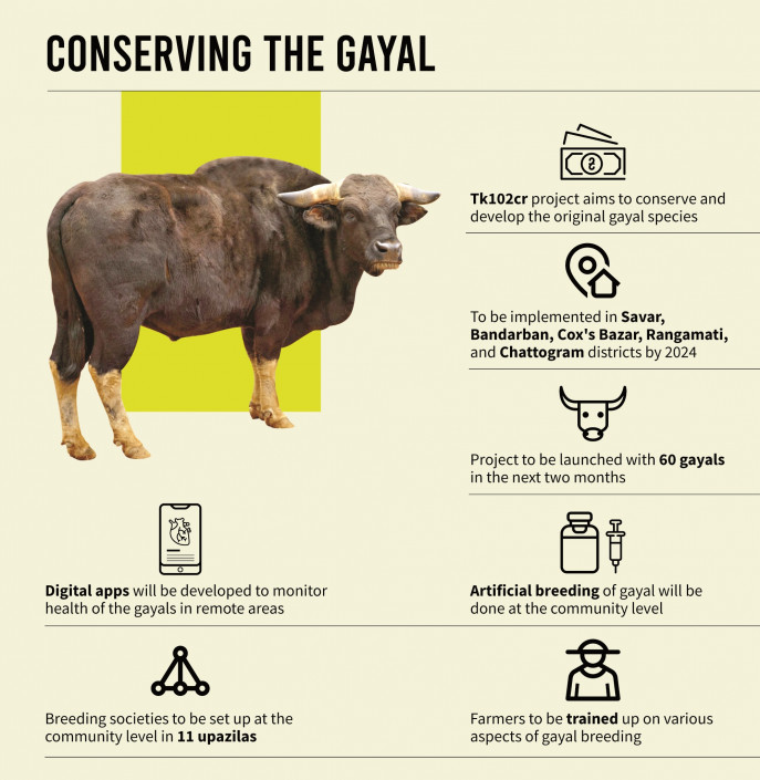 Tk102-crore project to conserve gayals | undefined