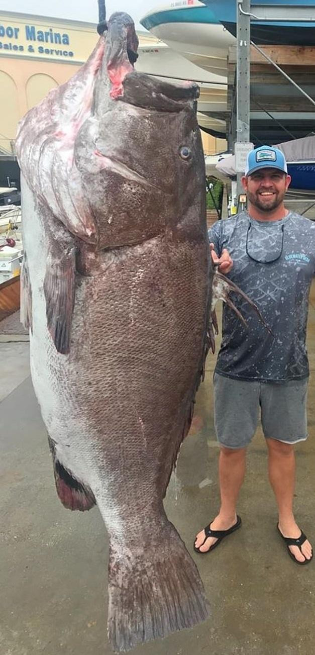 Man in Florida catches oldest fish in the world