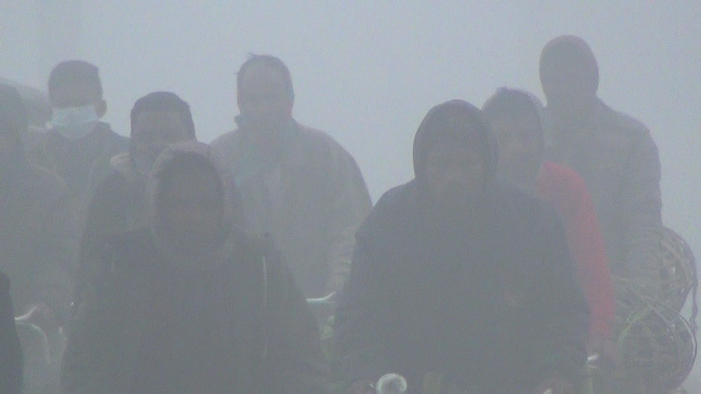 Daily activities of the local people is being hindered due to dense fog and chilling cold. Photo: TBS
