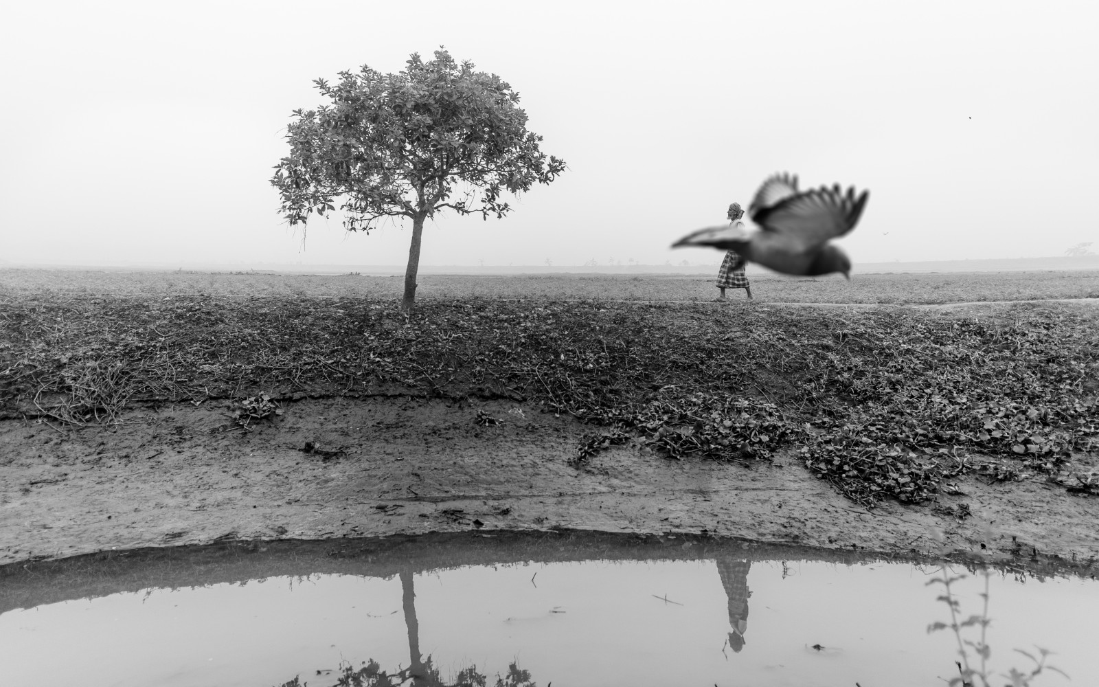 Let the loneliness fly like a bird. Photo-Jahid Apu