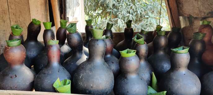 Tuiyas are water pots made from bottle gourds, believed to have originated around 90AD. These pots are widely used by indigenous Mro and Khumi people. Photo: TBS 