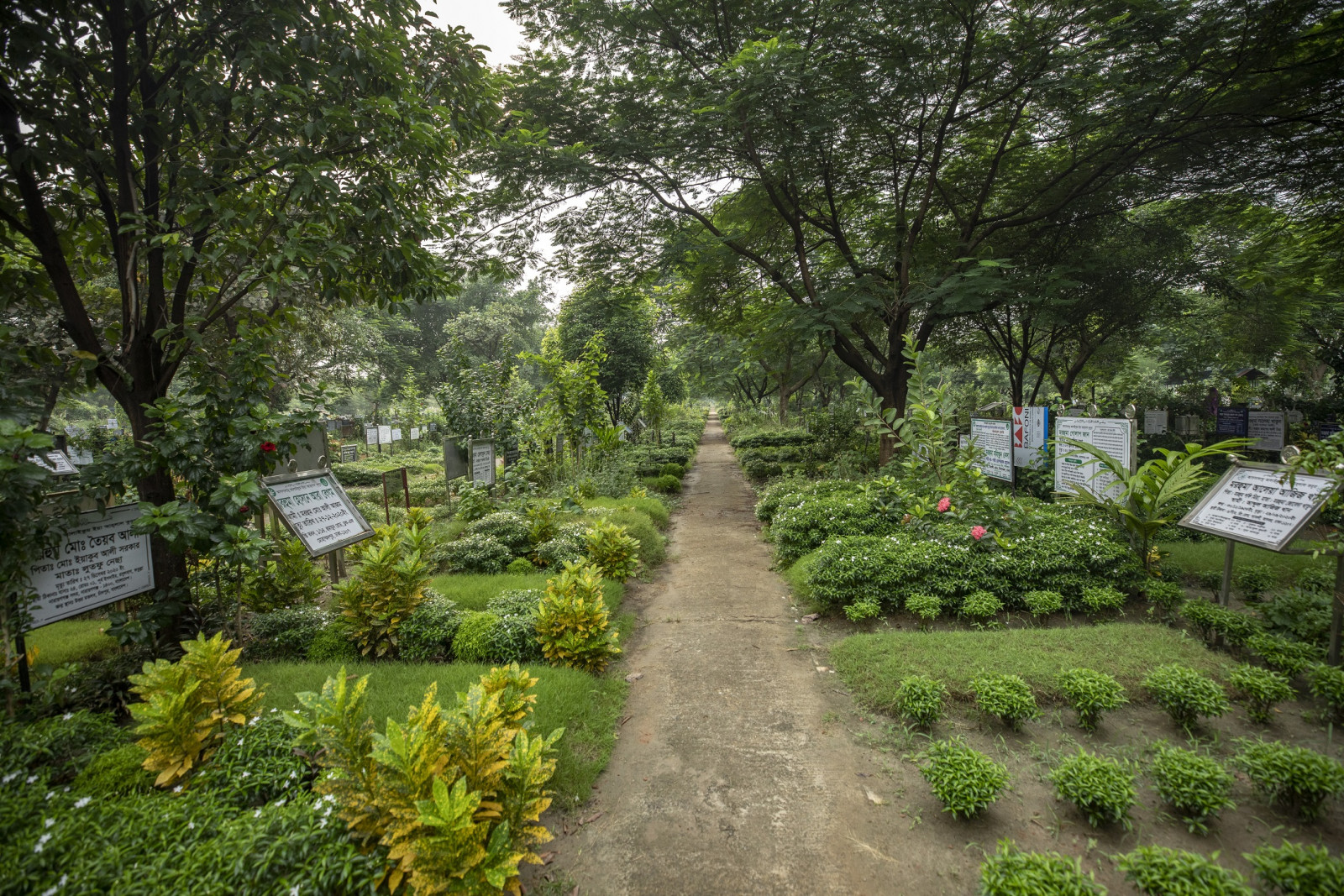  Photo: Noor-A-Alam