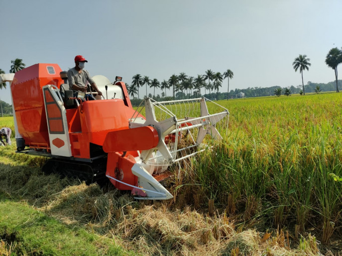 A farmer uses a combined harvester for harvesting paddy. The machine, developed by the BRRI, is capable of harvesting paddy on 3-4 bighas of land per hour. Photo: TBS