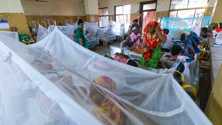 Dengue may not seem like a disease which requires as much attention as cancer, but it might become a pandemic, much like Covid-19. Photo: TBS