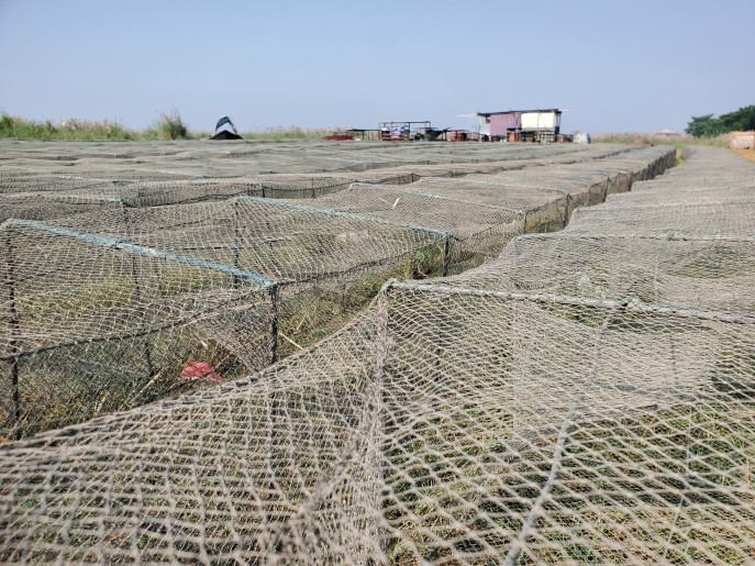 Foldable Fish Trap: A death blow to our wetlands