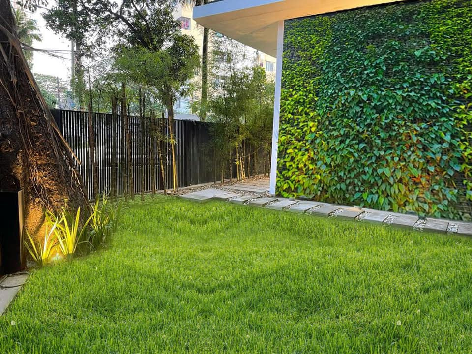 Living green walls are panels of plants grown vertically using hydroponics on structures that can be either free-standing or attached to walls. 