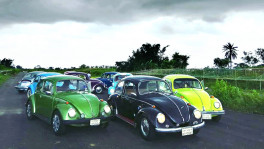 Beetle lovers of Bangladesh