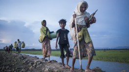 Rohingya refugees walk from Myanmar to refugee camps in Bangladesh. Photo: Salahuddin Ahmed/TBS