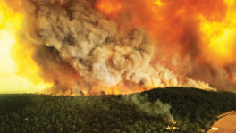 Smoke billows during bushfires in Bairnsdale, Victoria, Australia, December 30, 2019. Photo: REUTERS
