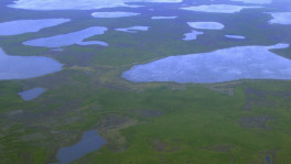 Researchers found that the permafrost contains ancient microbes that may come back to life if environmental conditions change and set them free again/ Reuters 