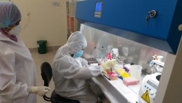 The bioinformatics pipeline will help doctors determine the causes of infections that are not detectable by other tests. Photo: Collected