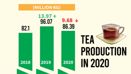Tea production declined but met target in 2020