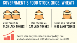 Govt moves to import food grains as stocks halve