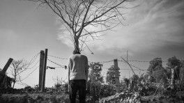 Tree man. Photo/Hasan Mehedi Amin