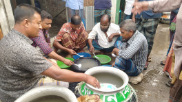 The market is active from morning till afternoon. Photo: TBS.