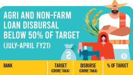 Agricultural loan: 14 banks fail to disburse half of target in 10 months