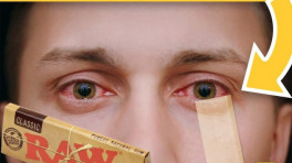 Advertisements with obscene and derogatory content: The new norm in marketing?
