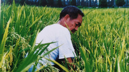 Yuan Longping. Photo: Collected