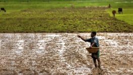 Famers get less than half of the price you pay for their produce in supermarkets, a result of a syndicate-controlled, complex supply chain. Photo Courtesy: Deshifarmer