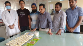 Yoghurt, chocolate, cheese to be produced from jackfruits