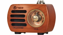 Representational image. PRUNUS R-818 Vintage Wooden Retro FM Radio Speaker. Photo: Collected 