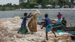 The anti-dumping duty is not what is causing damage to Bangladeshi jute business. Photo: Salahuddin Ahmed