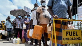 Fuel shortage in Sri Lanka has only elongated the crisis. Photo: Collected