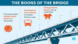 Padma Bridge injects fresh blood in southern economy 