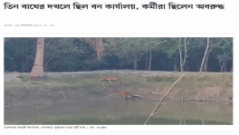 Made-up monsters: How media is fueling human-wildlife conflicts in Bangladesh