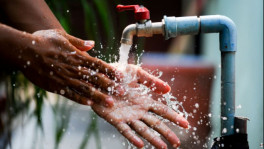 Representational Image. Photo: Collected