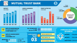 Private commercial banks with big impact
