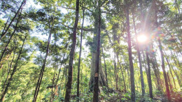 Of Hill Tracts, expeditions, tigers and wondrous wildlife: A Monirul Khan masterpiece