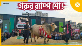Cattle Expo in Chattogram