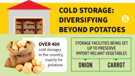 Not just potato, entrepreneurs now investing in cold storage for onion, carrot