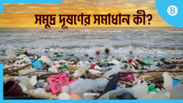 What is the solution of ocean pollution?