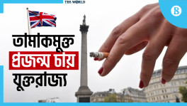 Will the UK's anti-tobacco laws work? 