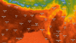 Screenshot from Windy showing the heatwave forecast across Bangladesh and nearby regions at 3pm of 29 April 2024