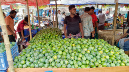 Recently harvested mangoes displayed at a shop in Baneswar Mango Market in Rajshahi on 3 June. Photo: TBS