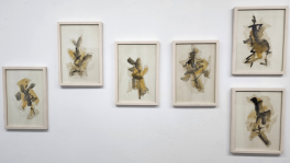 Im/Material: The many colours of Amitab’s nostalgia