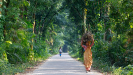 The photos were taken on Saturday (21 September). Photo: Syed Zakir Hossain
